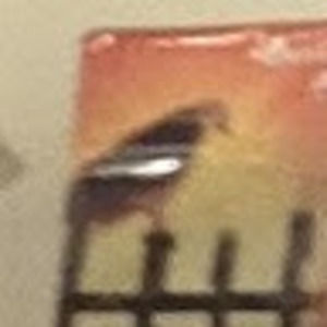 Meet your Posher, Barbara